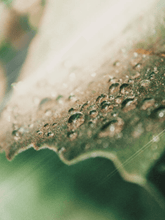 Load image into Gallery viewer, AHA Peeling Concentrate – Natural Exfoliant | BYMANYC ® New York
