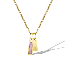 Load image into Gallery viewer, Birthstone &amp; Initial Tag Necklace - Gold
