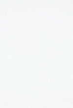 Load image into Gallery viewer, Celine Champagne
