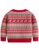 Load image into Gallery viewer, Children's Alpaca Ugly Christmas Sweater | NCS
