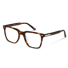 Load image into Gallery viewer, Cooper Blue Light - Rye Tort
