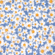 Load image into Gallery viewer, Daisy Bow Tie for Boys
