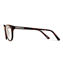 Load image into Gallery viewer, District Blue Light - Rye Tort
