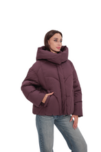 Load image into Gallery viewer, Insulated Bio-Down Jacket in Fig
