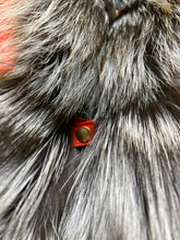 Load image into Gallery viewer, Roma Genuine Silver Fox Fur Rabbit Fur Insulated Parka in Red
