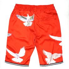 Load image into Gallery viewer, F545 Frost Dove Satin Button Down Set - Red
