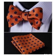 Load image into Gallery viewer, Flashy Bow Ties &amp; Handkerchiefs Collection - Multiple Styles
