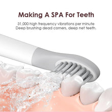 Load image into Gallery viewer, Sonic Toothbrush Electric Powerful  Optional Modes Cleaning Travel Toothbrushes With Brush Heads for Adults Random Color Perfect Teethbrush
