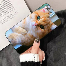 Load image into Gallery viewer, Cute Cat Black Phone Case For IPhone 13 8 7 6 6S Plus X 5 5S SE 2020 XR 11 Pro XS MAX Slim Fit Soft Print Design Flexible Silicone Cover For iPhone
