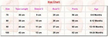 Load image into Gallery viewer, Baby Boys Cloth Set Infants T-shirt Top Bib Pants Kids Jumpsuit Newborn Baby Clothing Baby&#39;s Sets In Elegant Design
