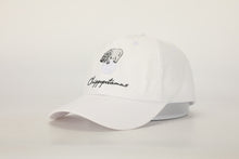 Load image into Gallery viewer, White hat
