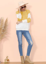 Load image into Gallery viewer, Color Block Net Detail Sweater
