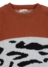Load image into Gallery viewer, Color Block Animal Print Sweater
