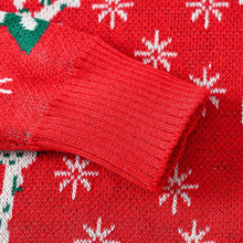 Load image into Gallery viewer, Kids Reindeer Jacquard Christmas Holiday Sweater | NCS
