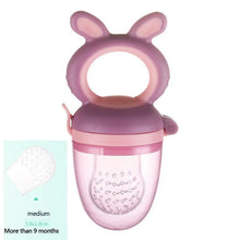 Load image into Gallery viewer, Baby Fruit Feeder Pacifier - # BAGE61310009
