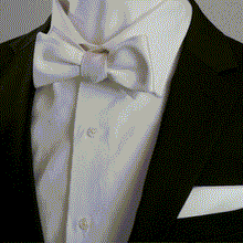 Load image into Gallery viewer, White Silk Pocket Square
