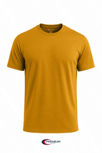 Load image into Gallery viewer, Men's Dri Fit Tshirts - single

