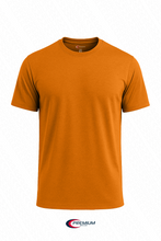 Load image into Gallery viewer, Men's Dri Fit Tshirts - single
