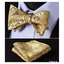 Load image into Gallery viewer, Paisley Bow Ties &amp; Handkerchiefs Collection - Multiple Styles
