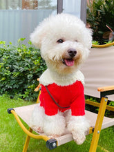 Load image into Gallery viewer, Pet Collared Christmas Sweater | NCS
