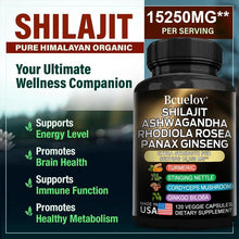 Load image into Gallery viewer, Shilajit Resin Himalaya Capsules - 15250 mg - Combination of Ashwagandha, Ginseng, Cordyceps, Ginkgo, Turmeric
