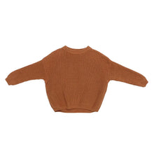 Load image into Gallery viewer, Baby Winter and Autumn Sweaters - # BOAA13510007
