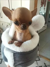 Load image into Gallery viewer, Outdoor Travel Chihuahua Puppy Dog Carrier Bacpack Winter Warm Pet Carrying Bags for Small Dogs Yorkshire Cat Nest mascotas Home
