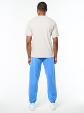 Load image into Gallery viewer, Vincere T-Shirt- Quiet Grey
