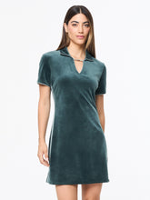 Load image into Gallery viewer, Lina Velour Dress- Green Gables

