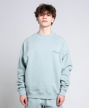 Load image into Gallery viewer, AR1002H-1 SIGNATURE SWEATSHIRT
