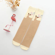 Load image into Gallery viewer, Colorful Embroidered Knee High Socks for Girls
