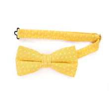 Load image into Gallery viewer, Sunny Men's Pre-tied Bow Tie
