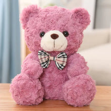 Load image into Gallery viewer, Cute Cartoon Little Teddy Bear Plush Toys - # BOT&amp;G512610004
