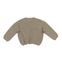 Load image into Gallery viewer, Baby Winter and Autumn Sweaters - # BOAA13510007

