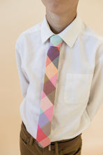 Load image into Gallery viewer, Whimsy Plaid - Youth Tie
