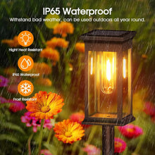 Load image into Gallery viewer, ☀️ Kidsjoy Solar Pathway Lights – 6 Pack
