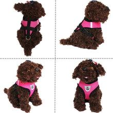 Load image into Gallery viewer, Adjustable Reflective Pet Harness with Leash
