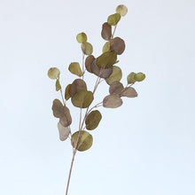 Load image into Gallery viewer, Artificial Eucalyptus Flower Plant Leaf Plastic Rod Long Branch Green Fake Plant Summer Autumn Home Bedroom Wall Decoration
