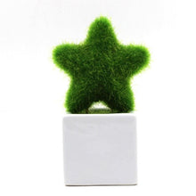 Load image into Gallery viewer, Artificial Lawn Simulation Grass Pile Simulation Flocking Love Star Bonsai Fake Flower Grass Ball For Home Decorations Ornaments Gifts
