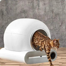 Load image into Gallery viewer, AutoClean Cat Litter Box
