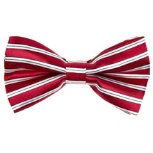Load image into Gallery viewer, Vittorio Farina Designer Boy&#39;s Bow Tie
