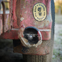 Load image into Gallery viewer, BFG Sticker
