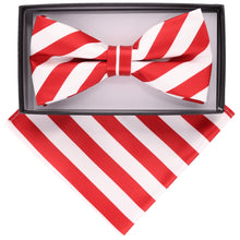 Load image into Gallery viewer, Vittorio Farina Striped Bow Tie &amp; Pocket Square
