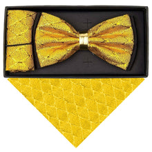 Load image into Gallery viewer, VITTORIO FARINA Rhinestone Bowtie &amp; Pocket Square
