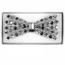 Load image into Gallery viewer, Vittorio Farina Jeweled Bow Tie

