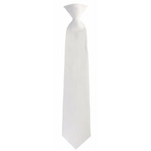 Load image into Gallery viewer, Vittorio Farina Boy&#39;s Clip Necktie
