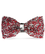 Load image into Gallery viewer, Vittorio Farina Rhinestone Bow Tie
