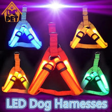 Load image into Gallery viewer, Bright Night Pet LED Harness
