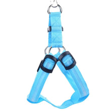 Load image into Gallery viewer, Bright Night Pet LED Harness
