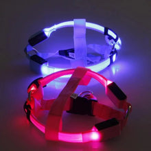 Load image into Gallery viewer, Bright Night Pet LED Harness
